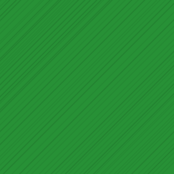 Loisaida Inc.
